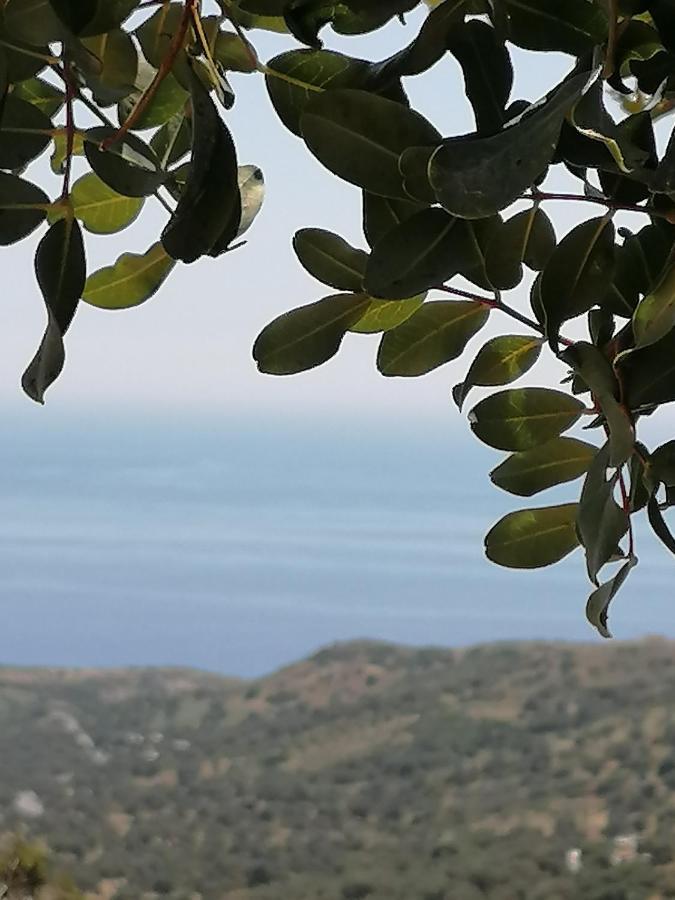 Villa Argyro Triopetra Zewnętrze zdjęcie